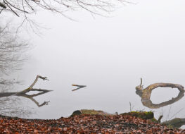 011 - und immer wieder kunst im see